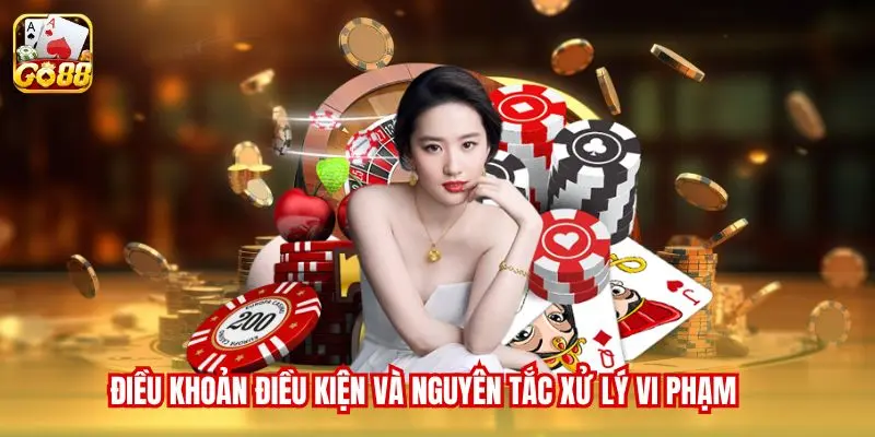 Điều khoản điều kiện và nguyên tắc xử lý vi phạm